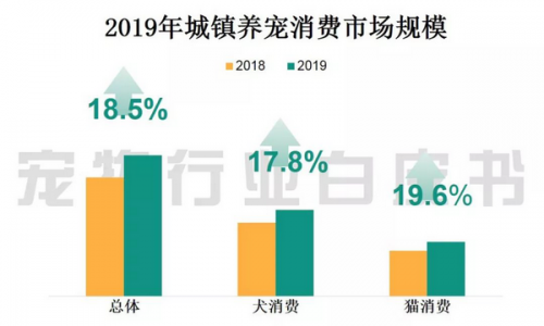 宠物行业市场规模持续增长 萌宠界发力B端市场